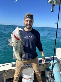 Angler proudly displaying a large Grouper while fishing on a boat in clear blue waters.