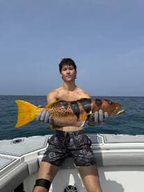 Young angler proudly holding a large Grouper while fishing offshore, showcasing a vibrant catch against a clear blue sky.