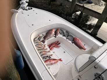 A variety of fish, including Snapper and Grouper, neatly arranged in the storage area of a boat after a successful fishing trip.