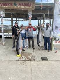 A family proudly displays their impressive catch of large tuna at Venice Marina, showcasing a successful fishing trip.