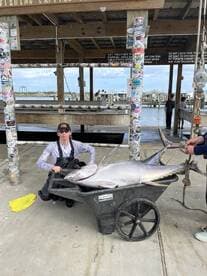 A young angler proudly displaying a large tuna in a wheelbarrow at the dock, showcasing a successful fishing trip.