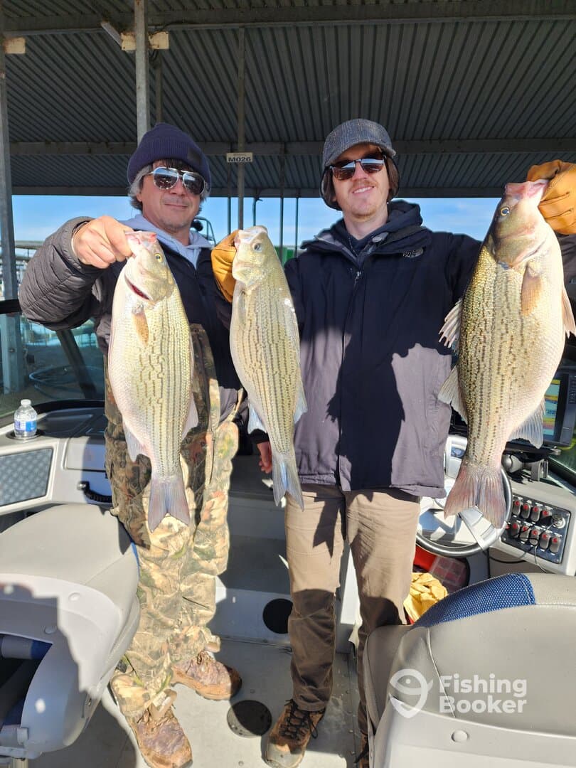 Two anglers proudly displaying their catch of striped bass aboard a fishing boat, showcasing a successful day on the water.