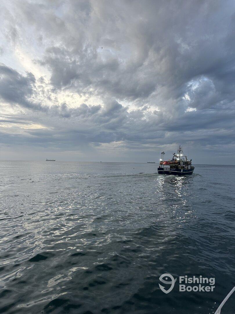 We caught an 8 ft Marlin