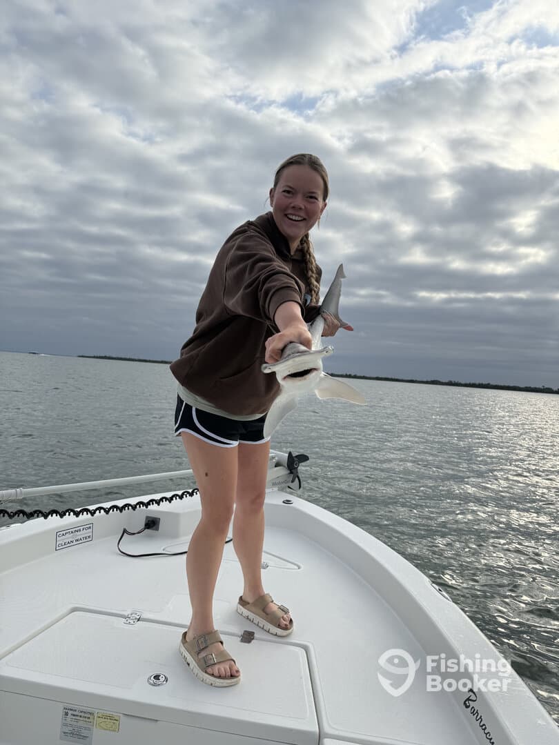 Caught some sharks!