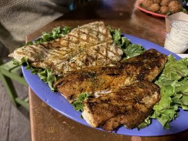 Grilled fish fillets arranged on a bed of lettuce, showcasing a delicious seafood meal.