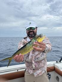 Angler proudly displaying a vibrant Mahi Mahi while fishing offshore, showcasing a successful day on the water.