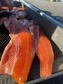 Freshly filleted salmon laid out on a cleaning table, showcasing vibrant orange flesh, ready for storage or cooking.