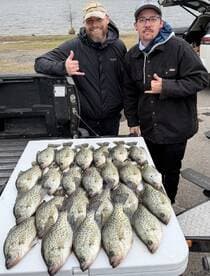 Two anglers proudly display a large catch of Crappie on a cooler at a fishing spot, showcasing their successful outing.