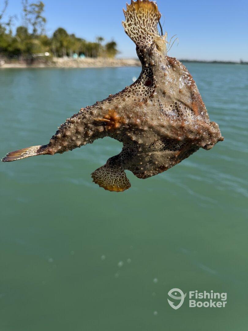 January fishing trip