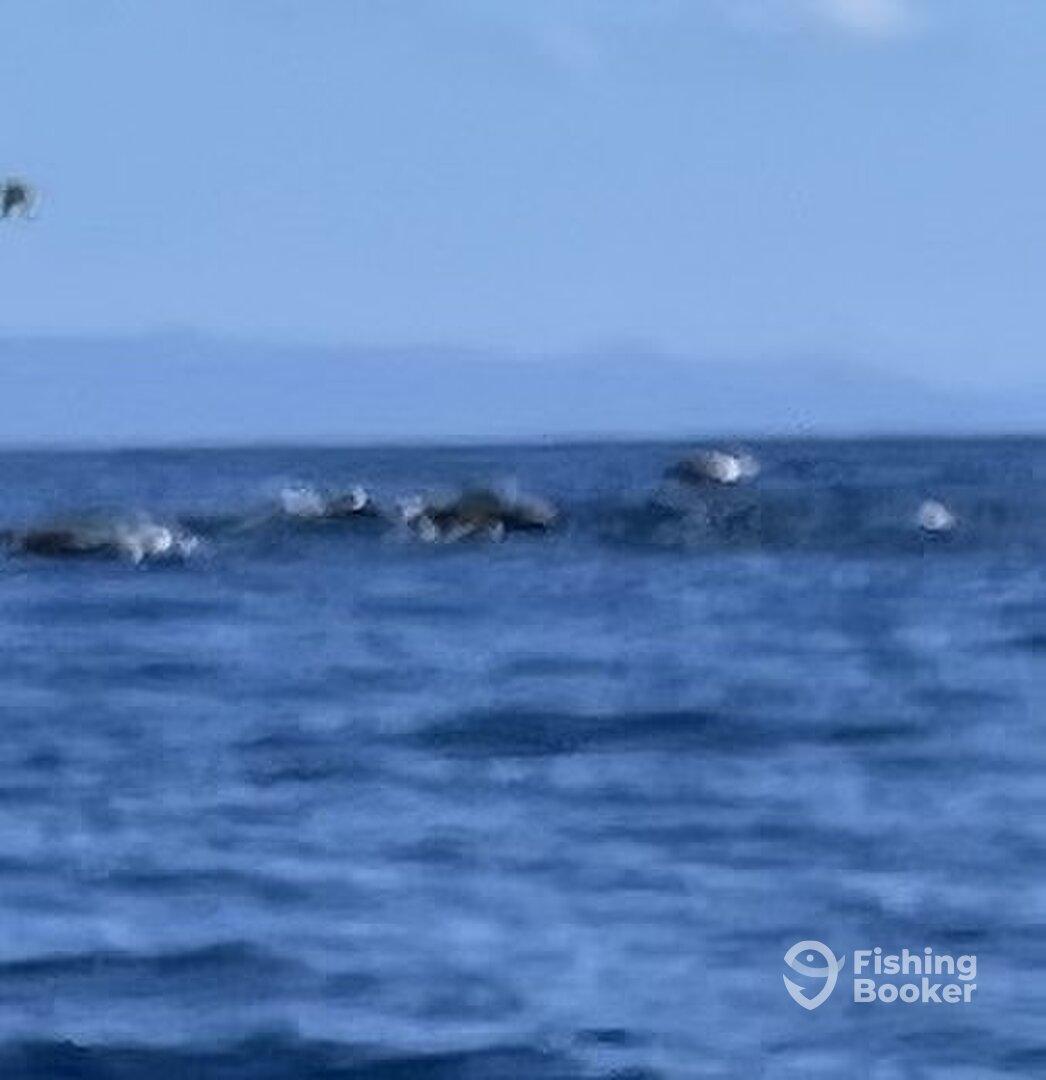 Best fishing trip in years and I’ve done many