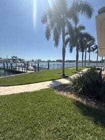 Scenic view of a marina with palm trees and a clear blue sky, showcasing the tranquil fishing environment.