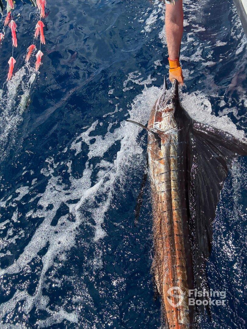 Another good 12 hour trip!