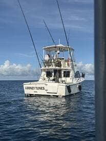 The fishing charter boat 'Looney Tunes' is anchored in calm waters, showcasing its spacious design and fishing gear, ideal for deep-sea fishing adventures.