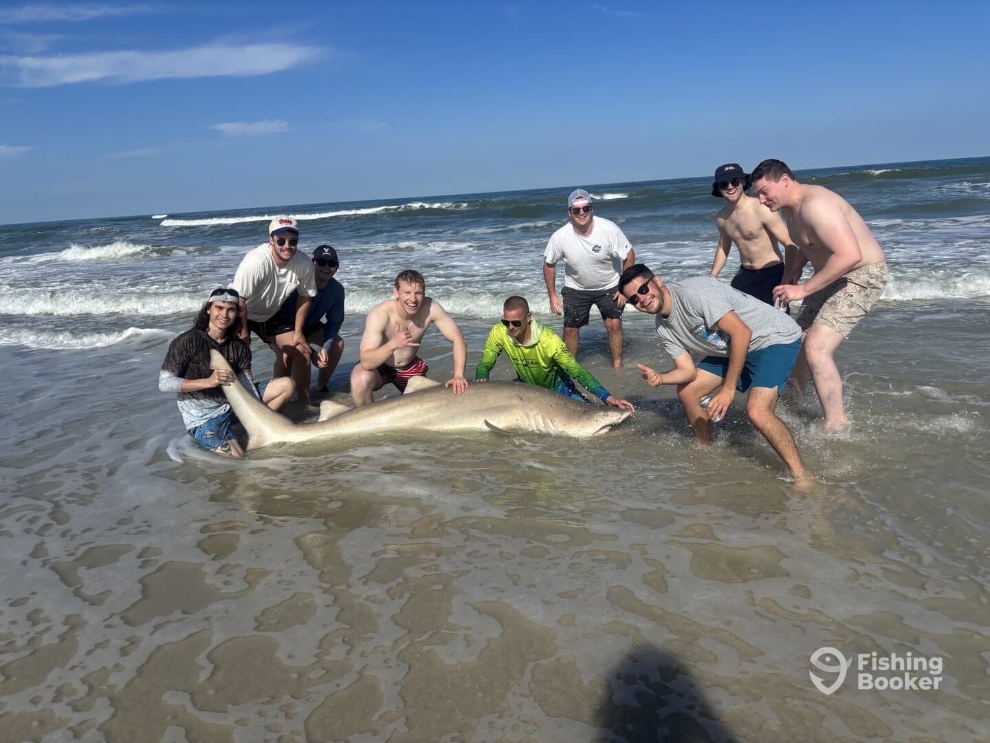 A group of anglers celebrating a successful catch of a large shark on the beach, showcasing teamwork and excitement in a coastal fishing environment.
