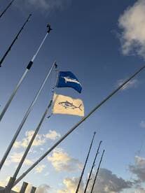 Flags and fishing rods displayed on the exterior of a fishing boat against a beautiful sky, showcasing the vessel's readiness for a day on the water.