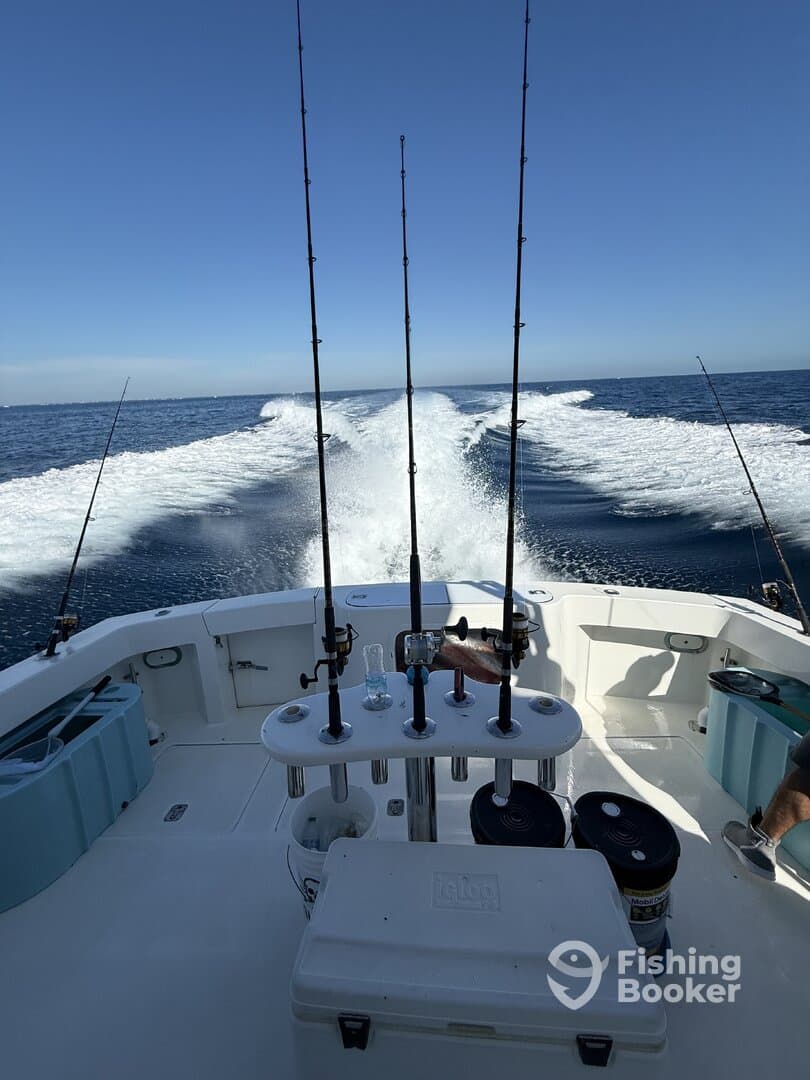 Great boat