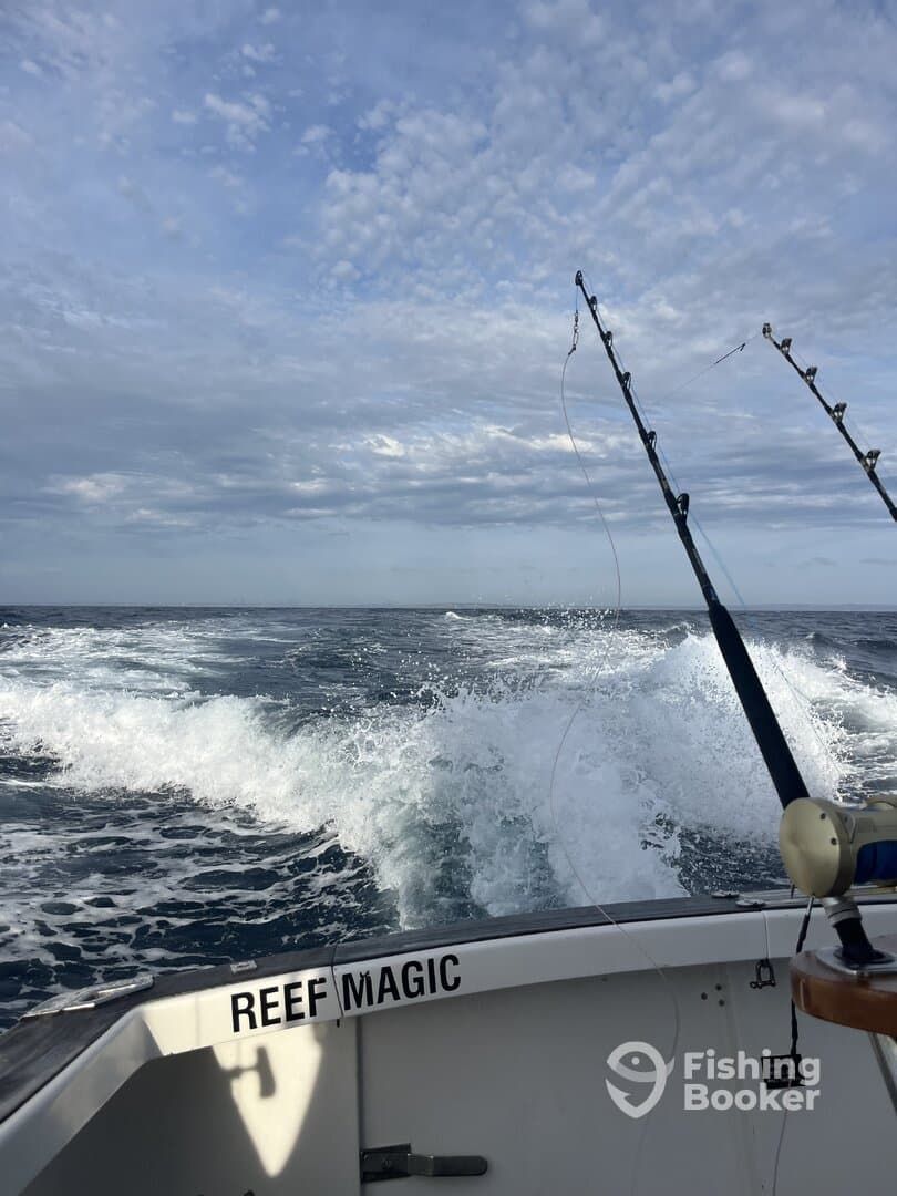 The exterior view of the 'Reef Magic' boat navigating through the waves, showcasing a beautiful day on the water.