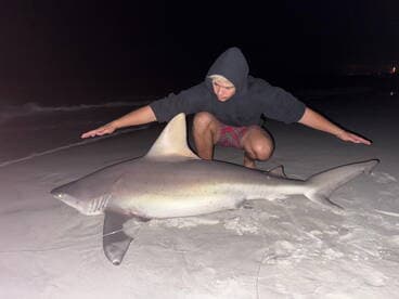 Angler showcasing a large shark on the beach at night, highlighting the thrill of night fishing.
