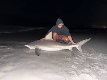 A young angler carefully handling a large shark on the beach at night, showcasing a successful catch during a nighttime fishing adventure.