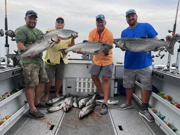 Four anglers proudly displaying their catch of large Salmon aboard a fishing charter, showcasing a successful day on the water.