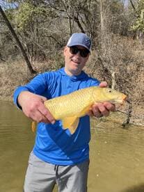 Angler proudly displaying a large golden carp caught during a fishing trip along a scenic riverbank.