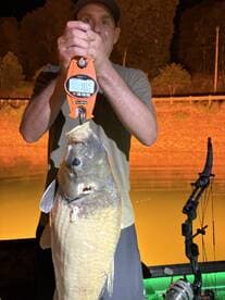 Angler weighing a large fish at night, showcasing a successful catch during a fishing trip.