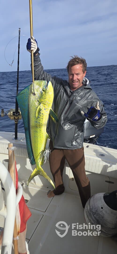 Angler proudly displaying a vibrant Mahi Mahi while fishing offshore, showcasing the excitement of a successful catch.