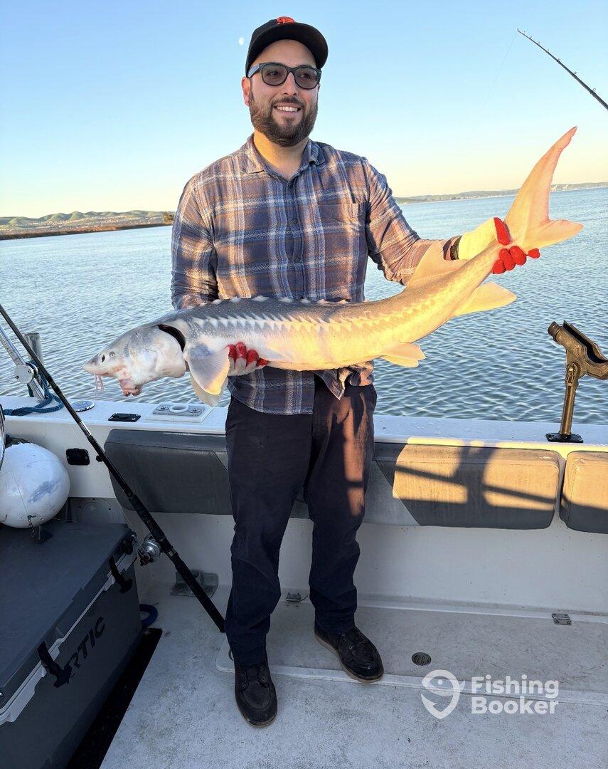 Angler proudly displaying a large Sturgeon while fishing on a boat during a scenic sunset.