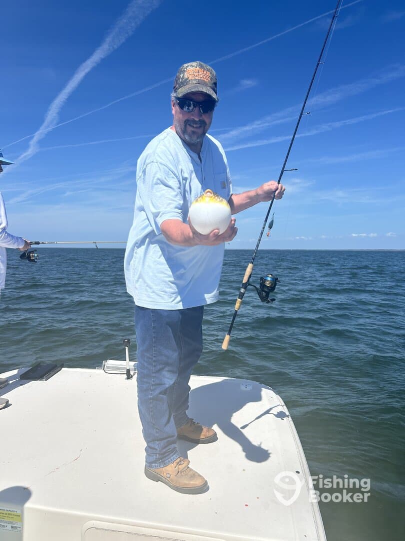 Angler fishing on a boat, holding a large pufferfish while enjoying a sunny day on the water.