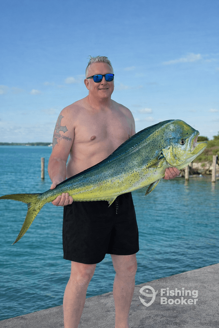 An angler proudly displaying a vibrant Mahi Mahi at the dock, showcasing a successful fishing trip.