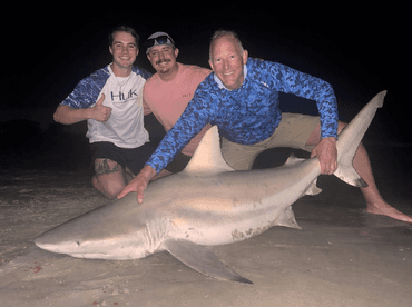 Three anglers proudly displaying a large shark on the beach at night, showcasing their successful catch during a fishing trip.