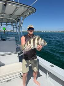 Angler proudly displaying a large Sheepshead caught while fishing off the coast, with a scenic backdrop of the water and shoreline.