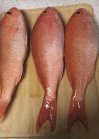 Three freshly caught Red Snapper laid out on a cutting board, ready for preparation.