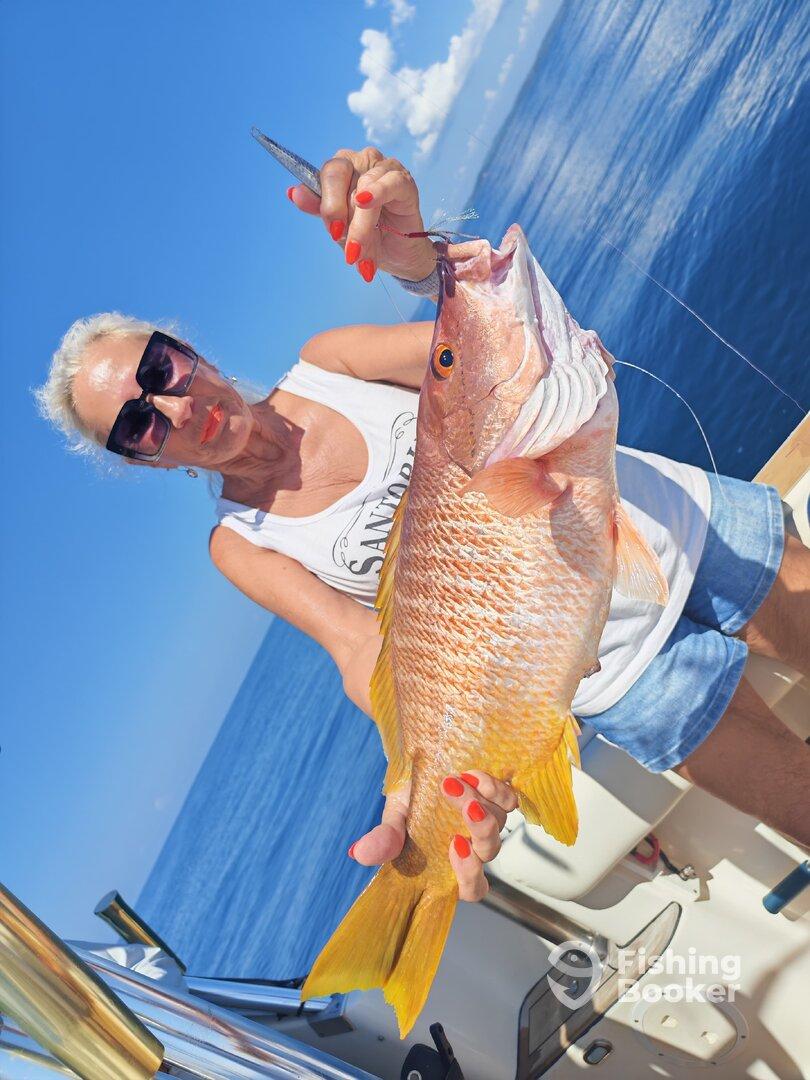 Angler proudly displaying a vibrant Snapper while fishing in clear blue waters.