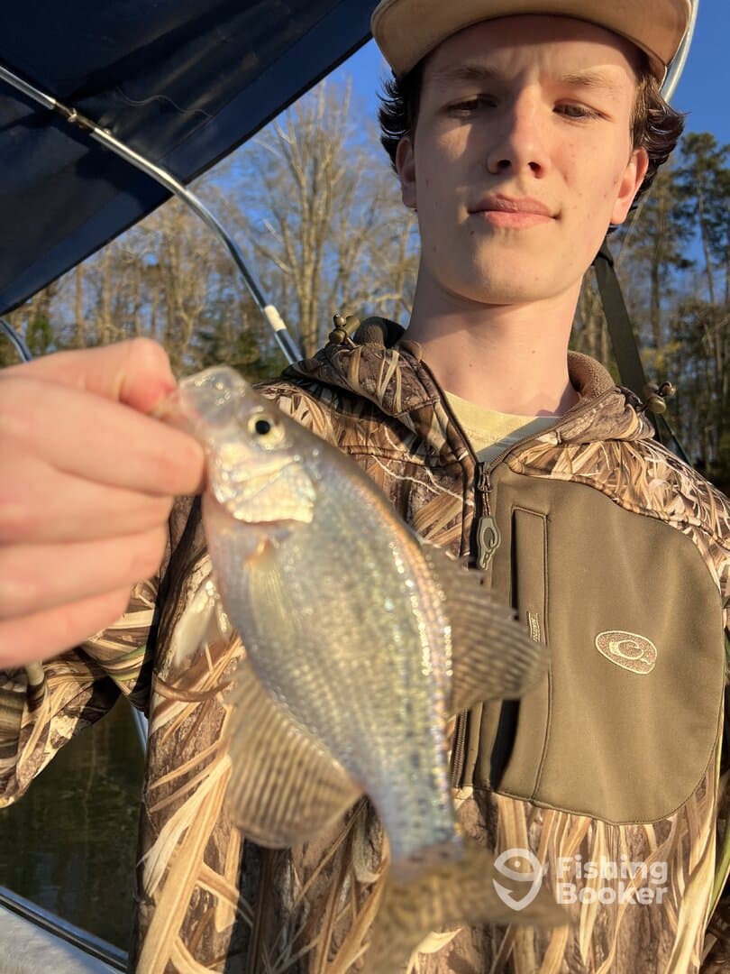 Young angler proudly holding a shimmering Crappie while fishing on a calm lake.