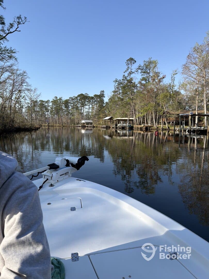 A scenic view of a boat navigating through a calm waterway surrounded by trees and docks, showcasing a tranquil fishing environment.