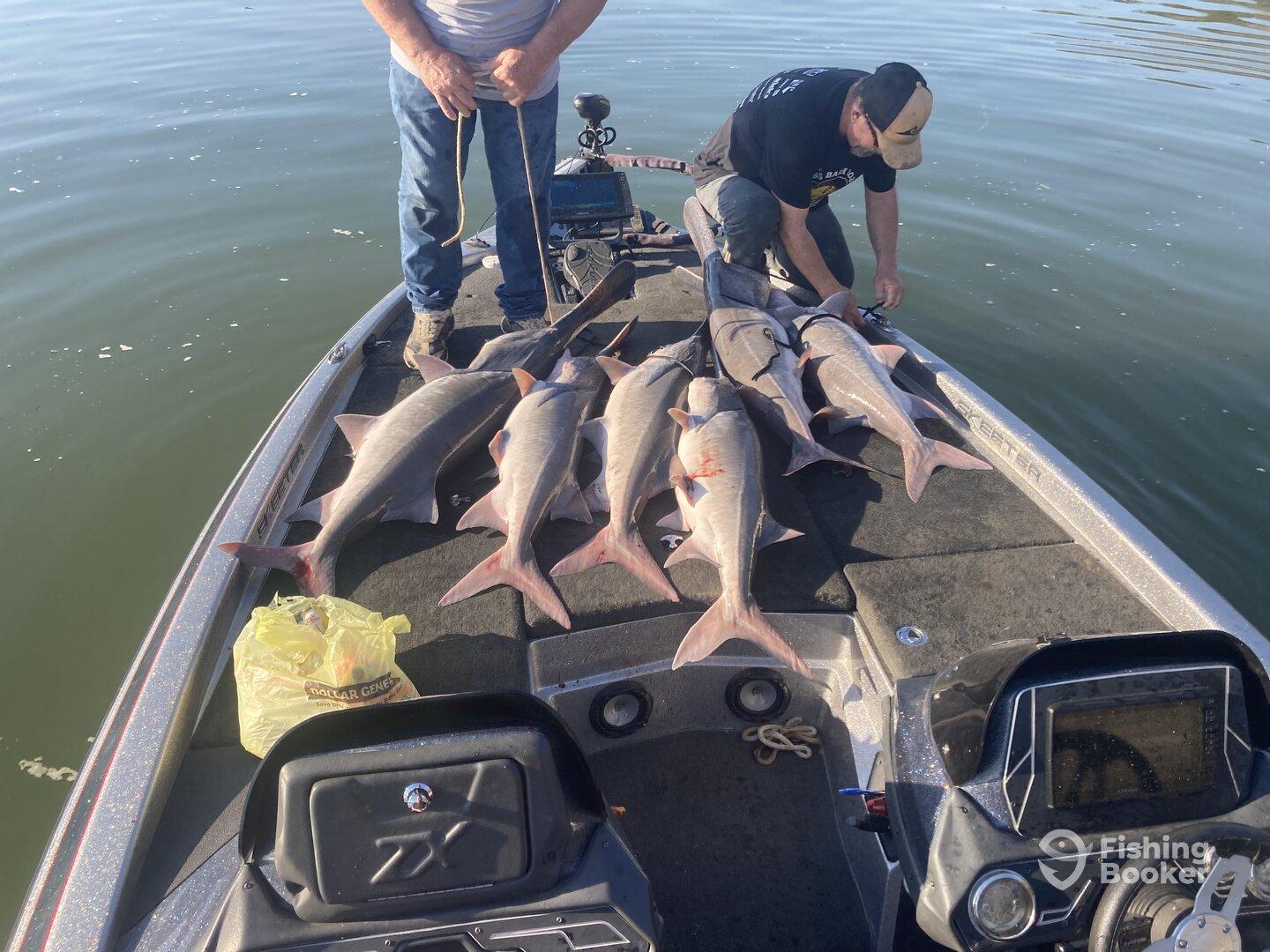 Two anglers preparing to secure a catch of several large sharks on a fishing boat, showcasing a successful day on the water.