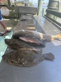 A variety of fish including flounder and redfish displayed on a fillet table at a dock, showcasing a successful fishing trip.