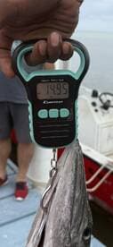 A person is weighing a fish using a digital scale on a boat, but the fish is not clearly visible in the image.