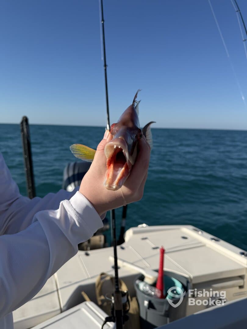 A young angler proudly displaying a colorful fish while fishing on a boat in clear blue waters.