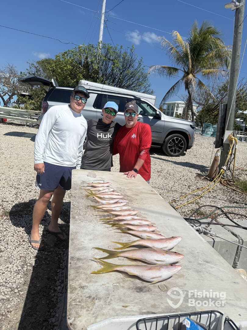 Three anglers proudly displaying a catch of Yellowtail Snapper on a cleaning table after a successful fishing trip.