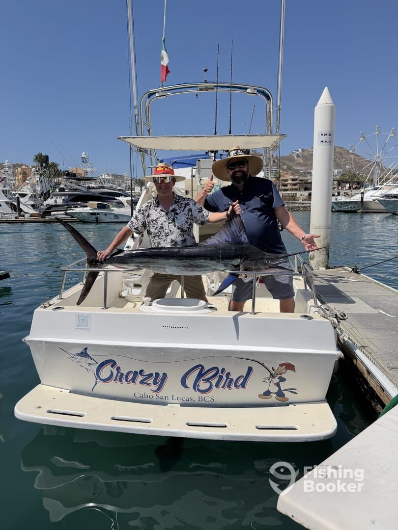 Two anglers proudly displaying a large Marlin on the 'Crazy Bird' boat in Cabo San Lucas, showcasing a successful fishing trip.