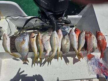 A variety of fish including Snapper and Grunts displayed on a cleaning station aboard a fishing boat.