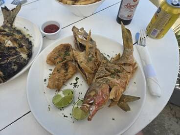 A beautifully presented plate of grilled fish, including a whole fish and fillets, garnished with lime and parsley, served alongside fries and beverages.