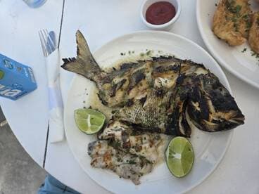 Grilled fish served with lime on a plate, showcasing a delicious seafood meal.