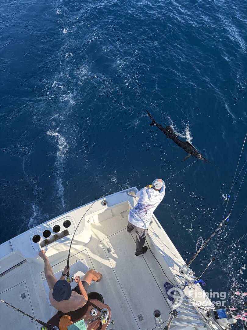 Two anglers engaged in an exciting fishing moment, reeling in a large fish while aboard a sport fishing boat in deep blue waters.