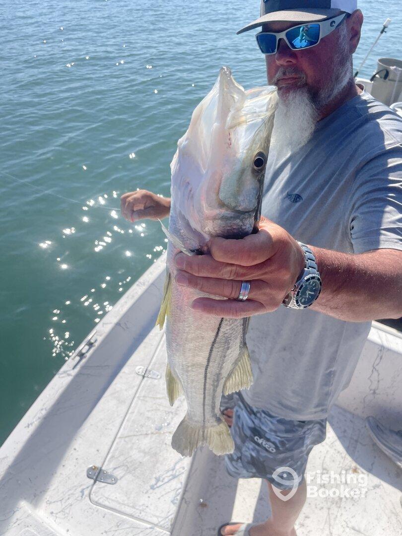 Angler proudly displaying a large Snook while fishing from a boat in sunny waters.