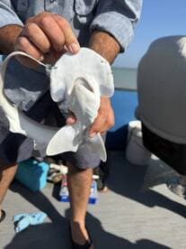 Angler displaying a caught fish, showcasing a unique species, while on a fishing trip.