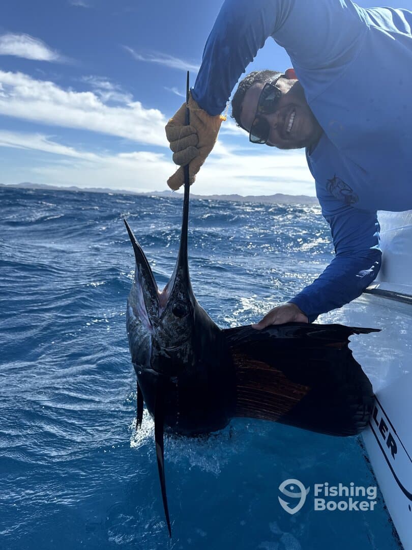 Angler proudly displaying a large Sailfish while fishing in open waters, showcasing the thrill of deep-sea fishing.
