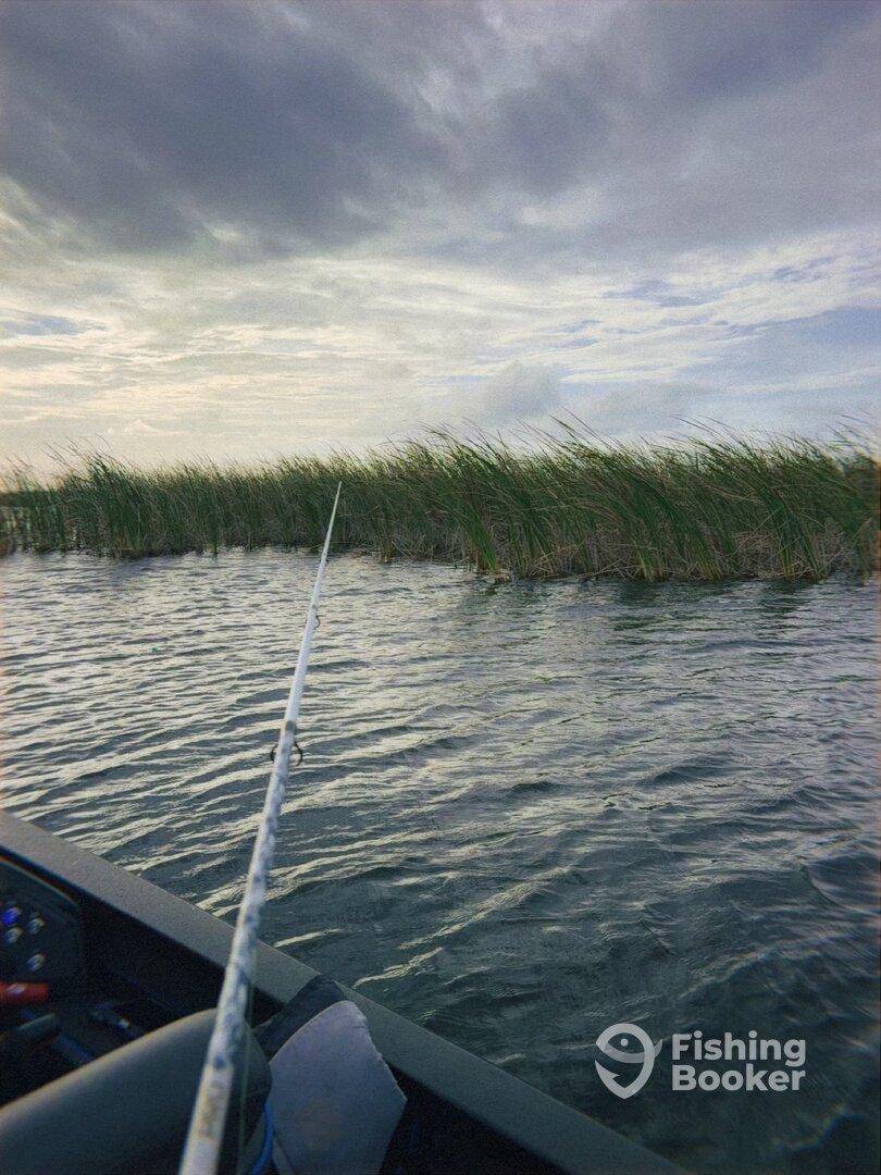 A fishing rod is positioned over calm waters, surrounded by lush vegetation, indicating a serene fishing environment.